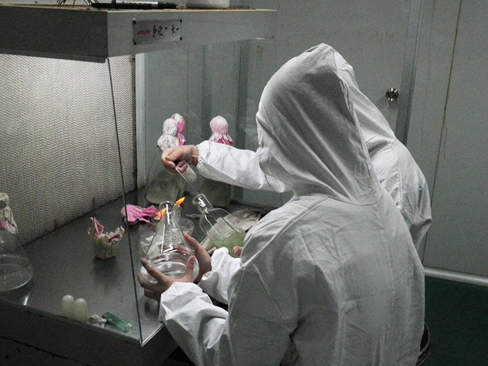 Strain Room